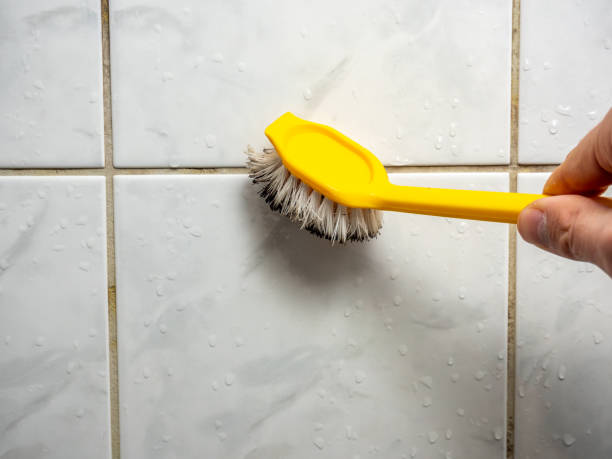 Colonial Beach, VA Mold Removal Company