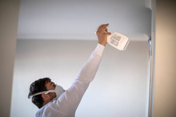 Best Mold Testing and Removal  in Colonial Beach, VA