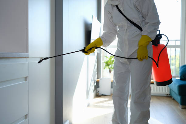 Best Mold Cleaning Services  in Colonial Beach, VA