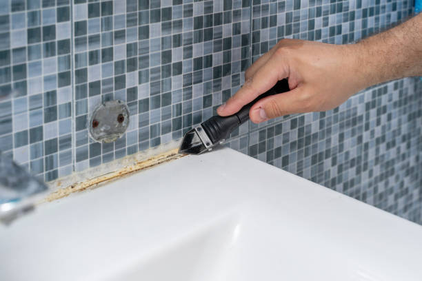 Reliable Colonial Beach, VA Mold Removal Solutions