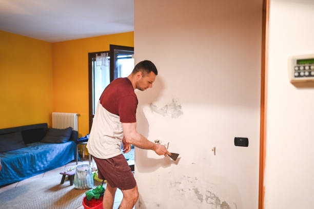 Best Residential Mold Removal  in Colonial Beach, VA